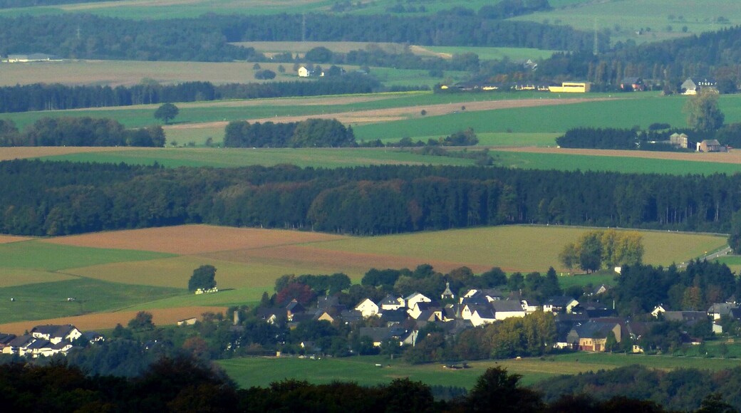 Womrath – von der Alteburg aus gesehen