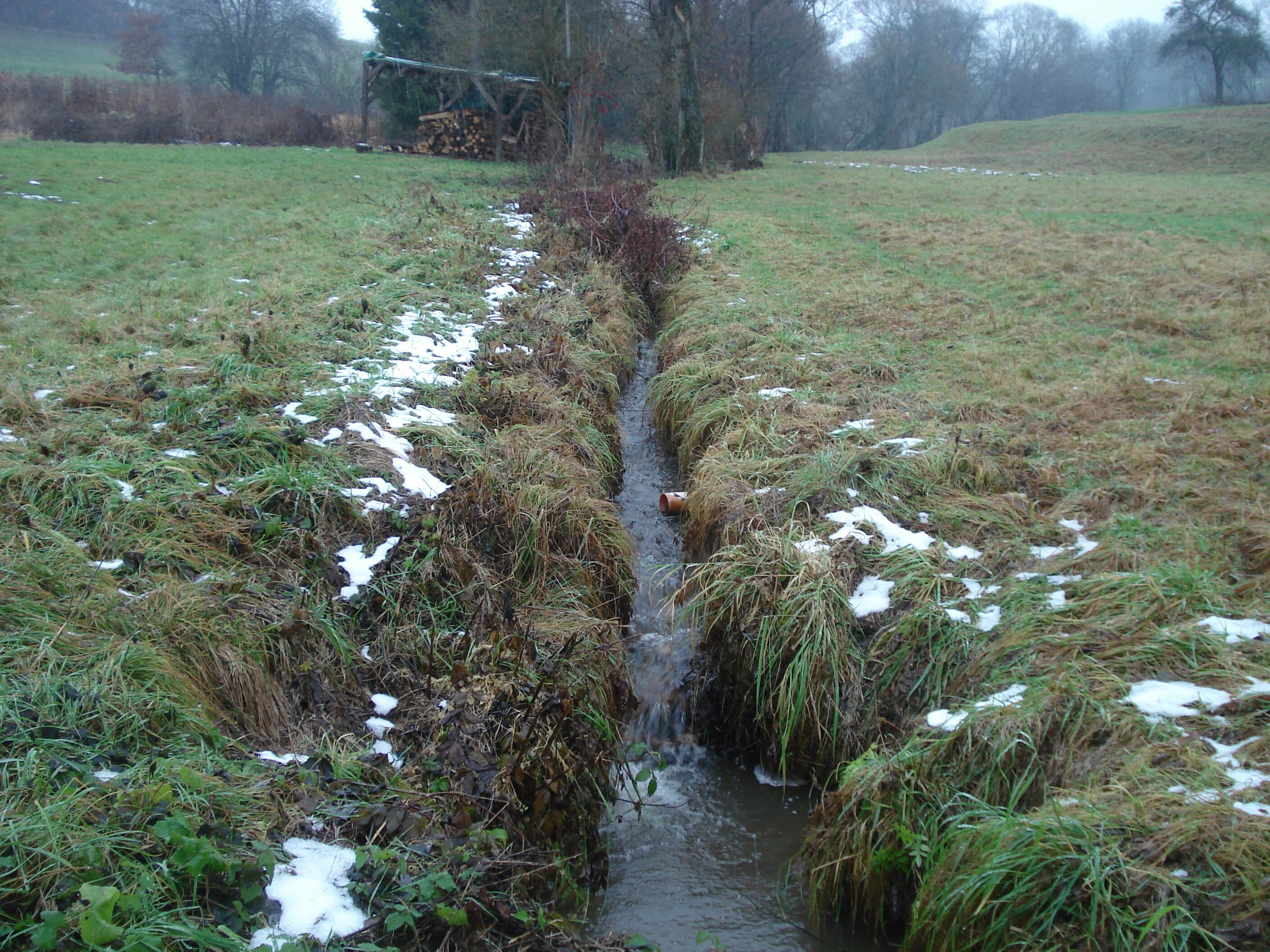 Der Rotermichbach im Rotermichgrund