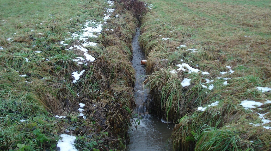 Der Rotermichbach im Rotermichgrund