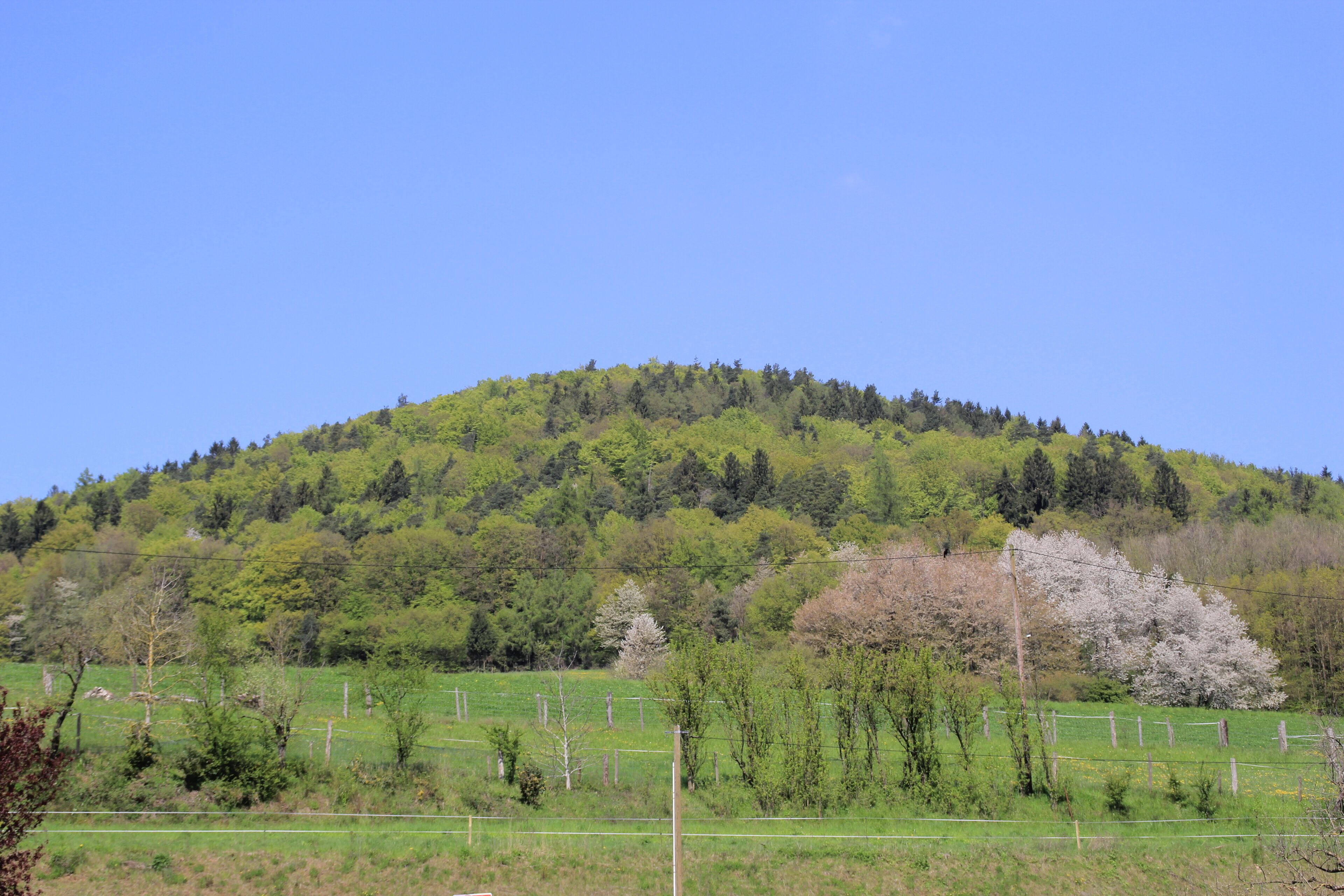 Der Habersberg im Spessart von Großkahl aus gesehen