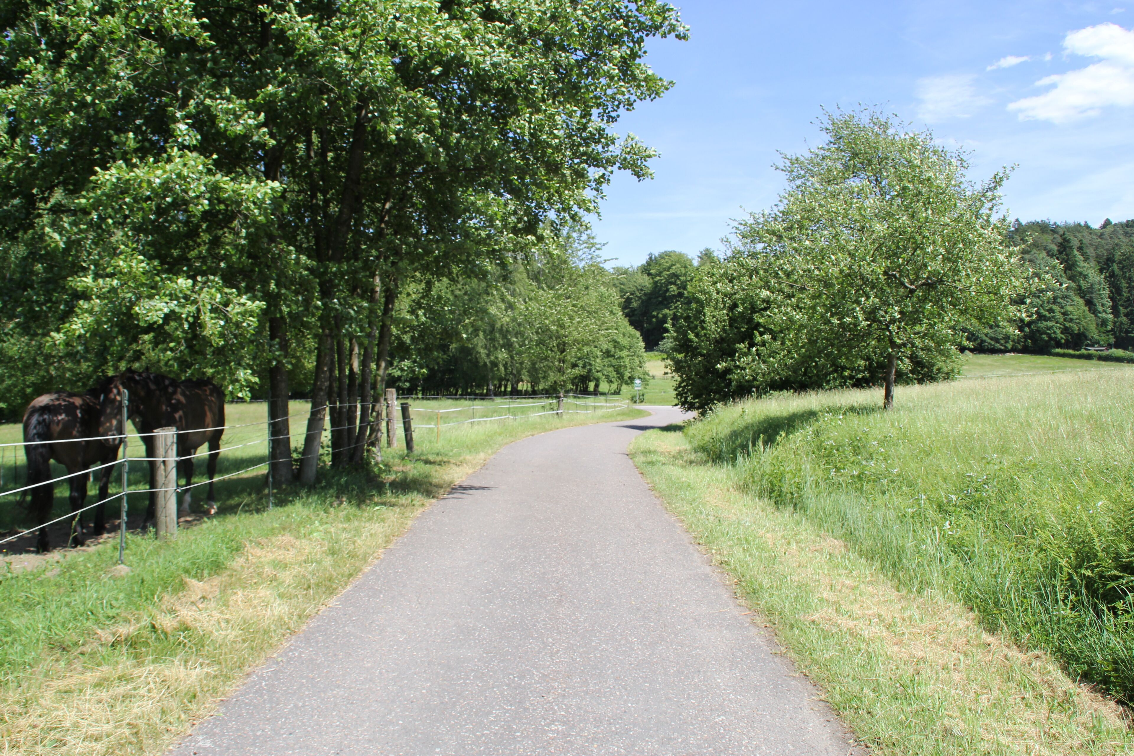 Kahltal-Spessart-Radweg bei Kleinkahl Richtung Kahlquelle