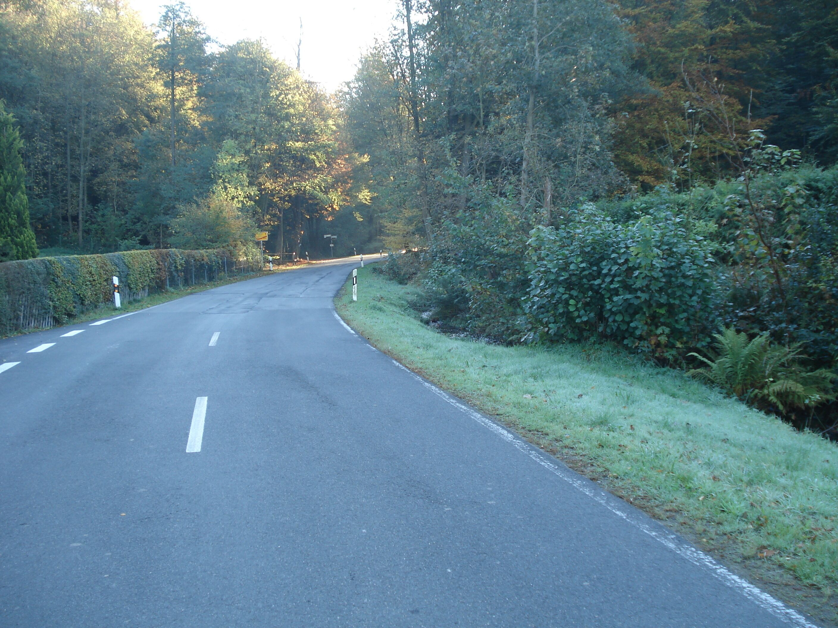 Die Staatsstraße 2305 von Bamberger Mühle Richtung Wiesen