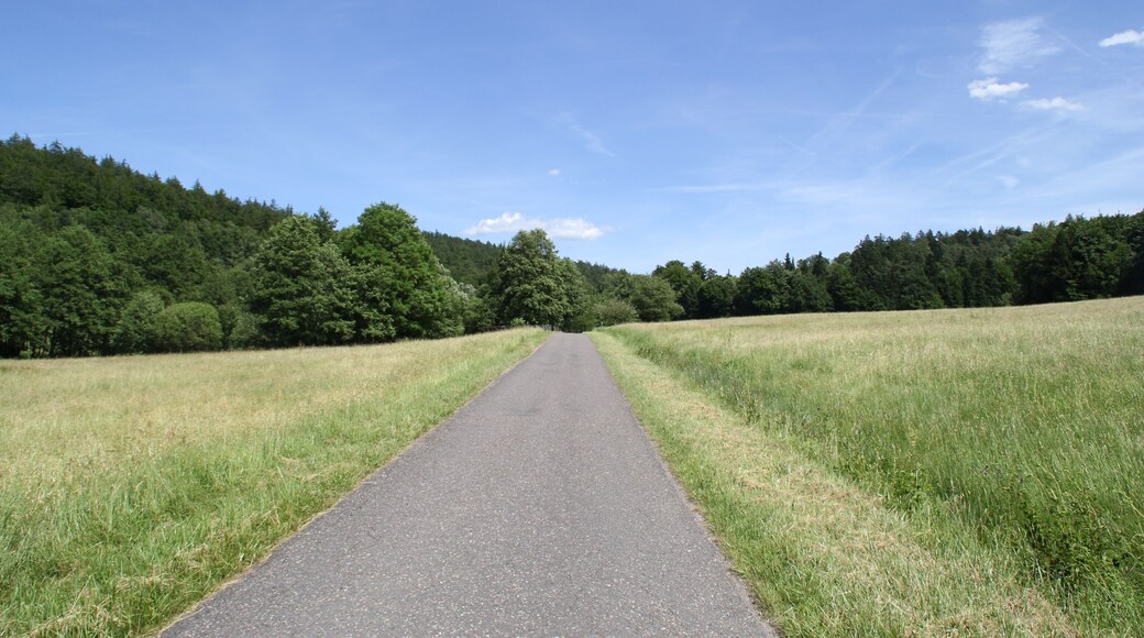 Kahltal-Spessart-Radweg bei Kleinkahl Richtung Bamberger Mühle