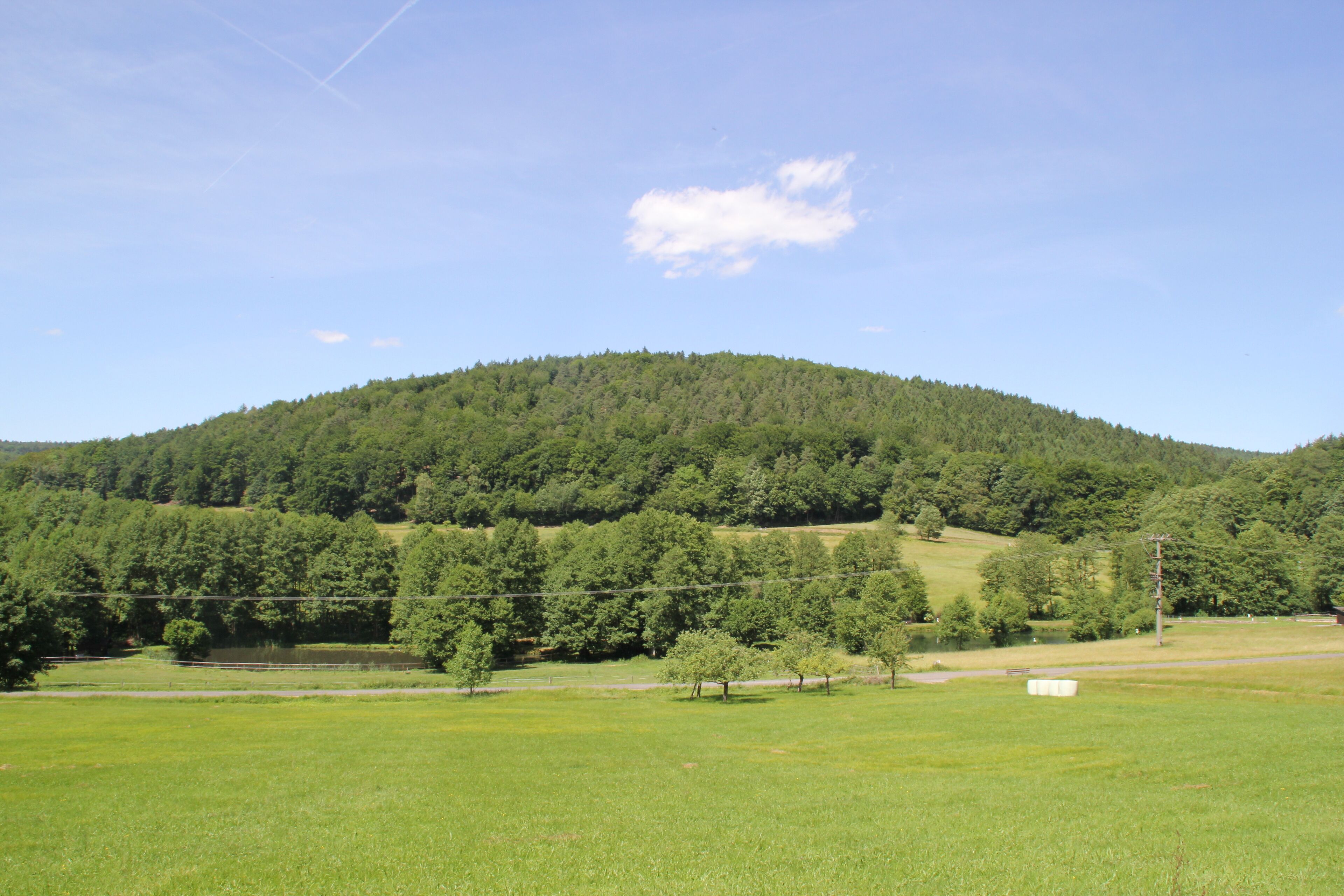 A green field, a hill with trees, and a clear blue sky.