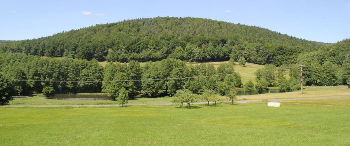 A green field, a hill with trees, and a clear blue sky.