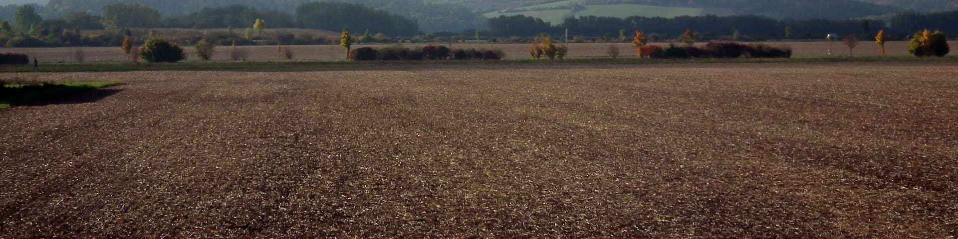 вид на замок