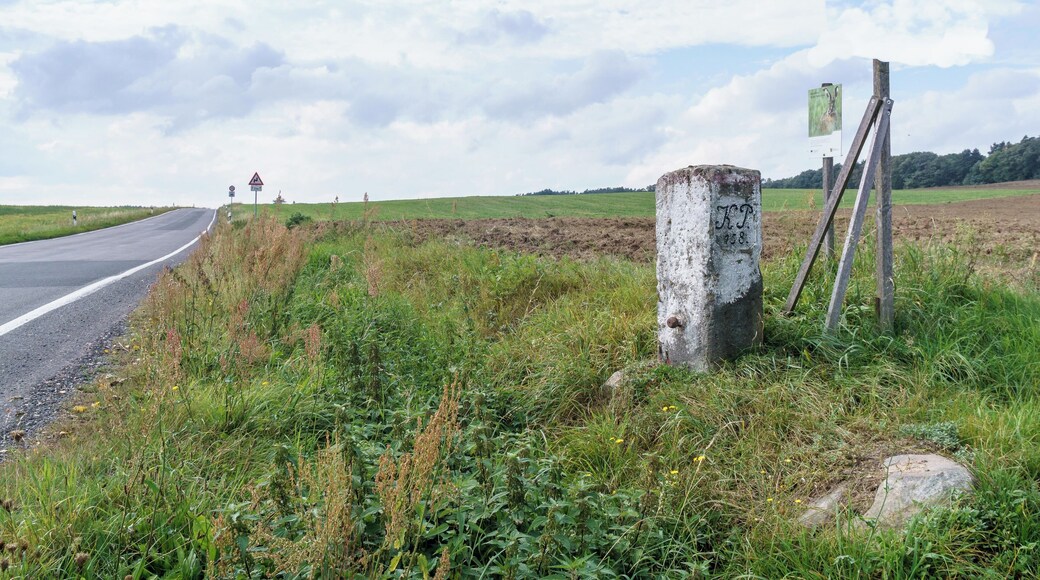 This media shows the protected monument of Saxony with the ID 09305490 KDSa/09305490(other).