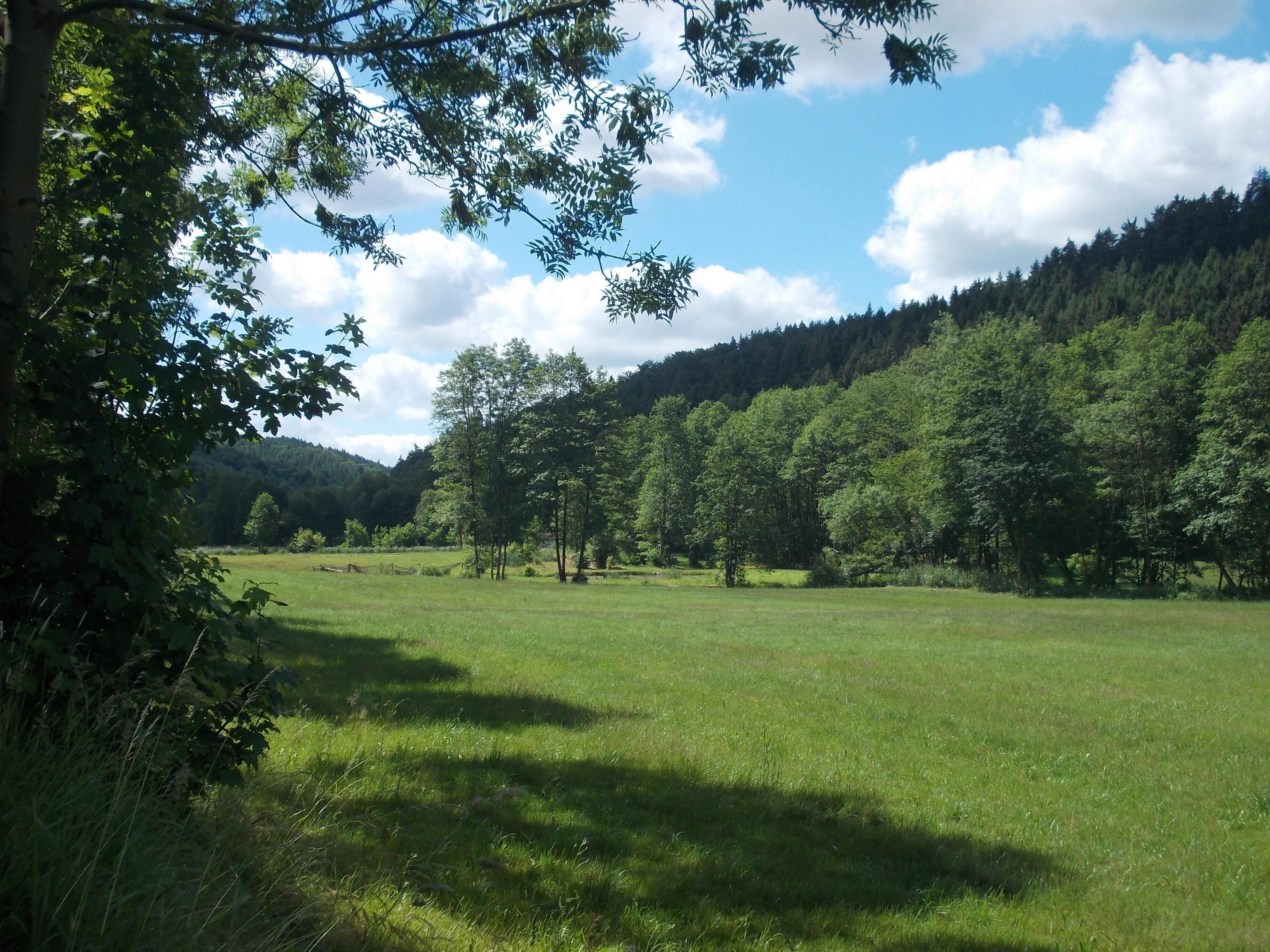 In the protected landscape area Rotehofbachtal (Saale-Holzland-Kreis, Thuringia)