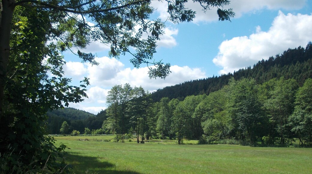 In the protected landscape area Rotehofbachtal (Saale-Holzland-Kreis, Thuringia)