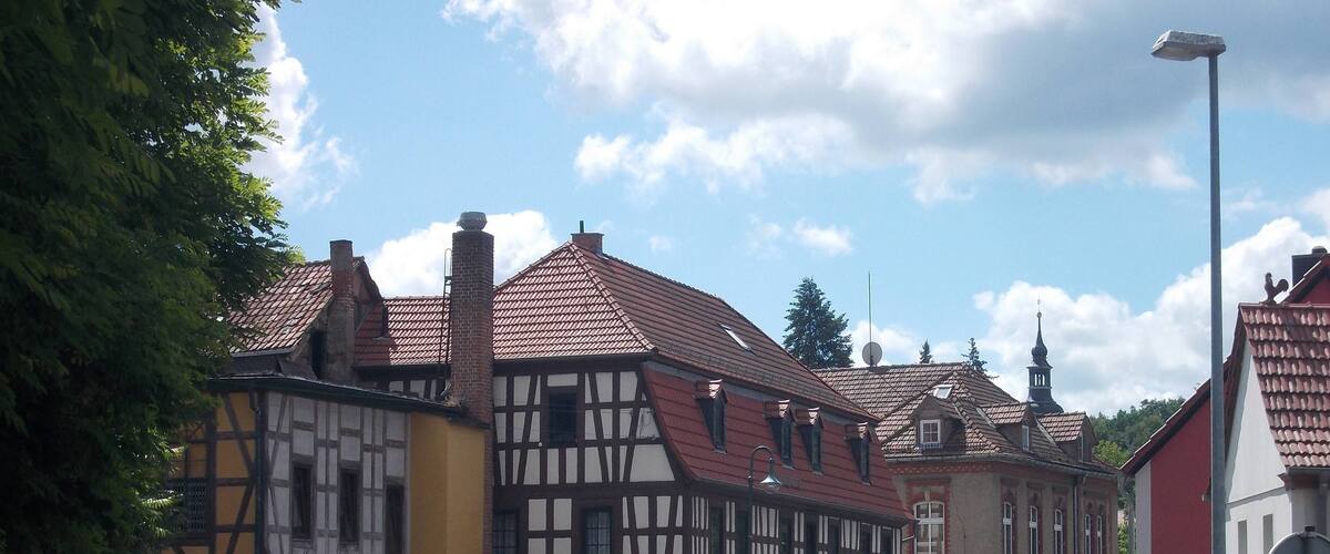 A street with traditional half-timbered houses, a clear blue sky, and a pedestrian crossing sign.
