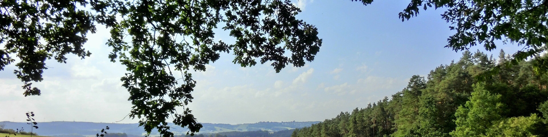 Emtmannsberg vom Herrnwald