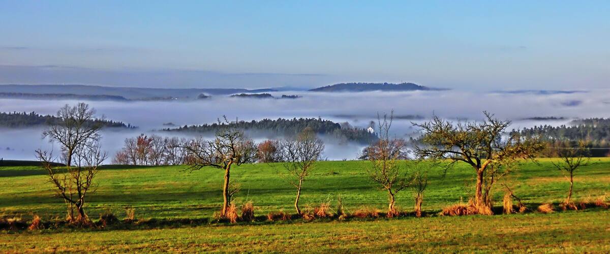 A landscape with a green field, trees, and a distant mist-covered hill.