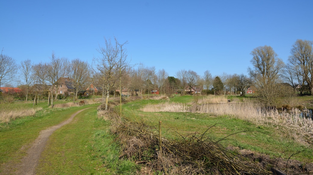 Bilder des Naturerlebnisraums "Naturerlebnisraum Gruppweg" in Rantrum.