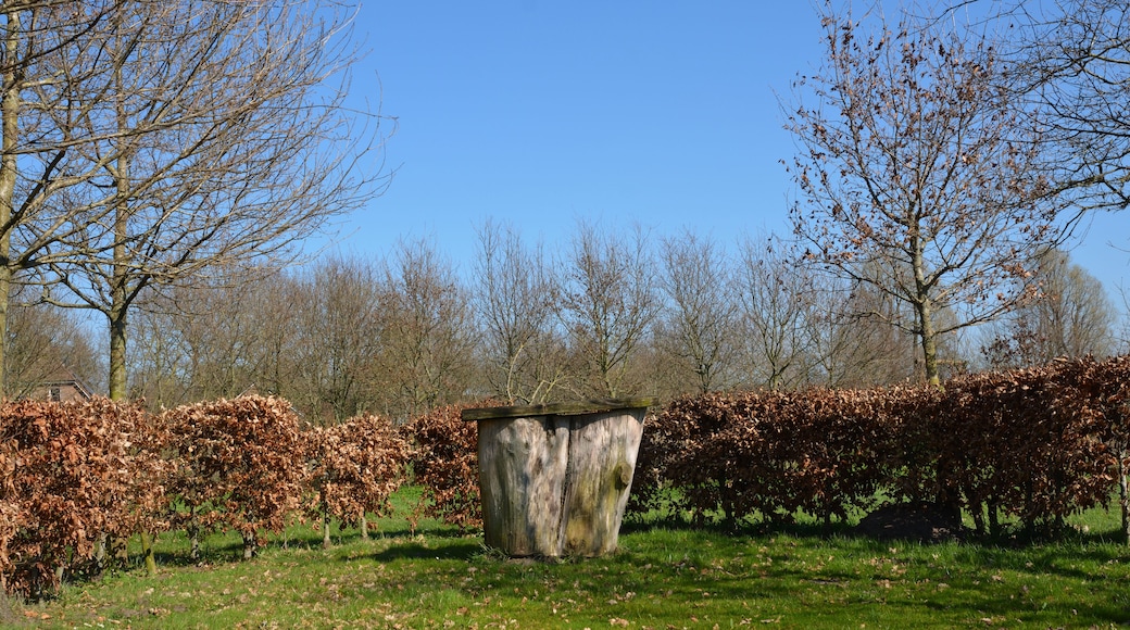 Bilder des Naturerlebnisraums "Naturerlebnisraum Gruppweg" in Rantrum.