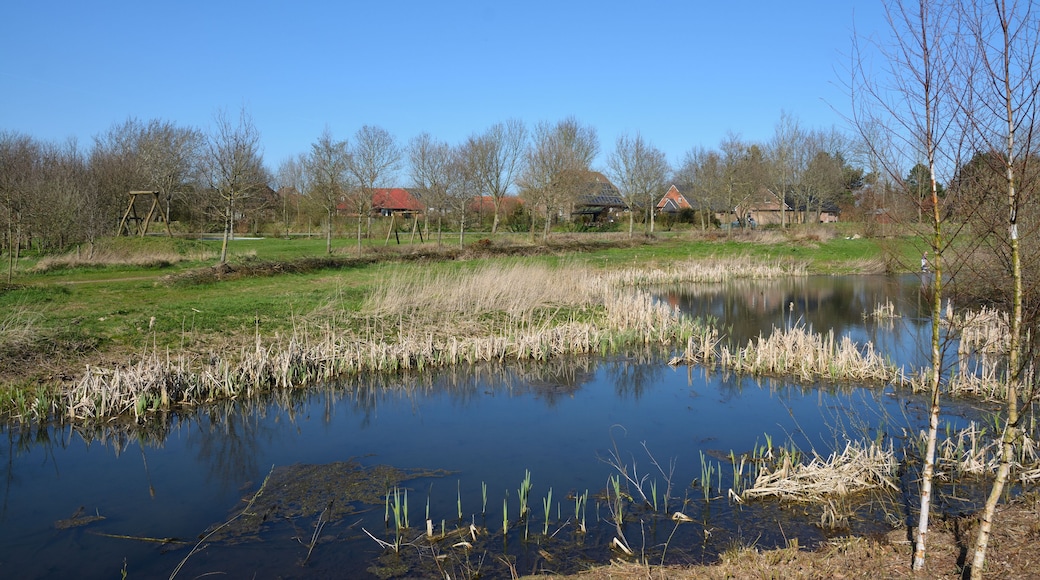 Bilder des Naturerlebnisraums "Naturerlebnisraum Gruppweg" in Rantrum.