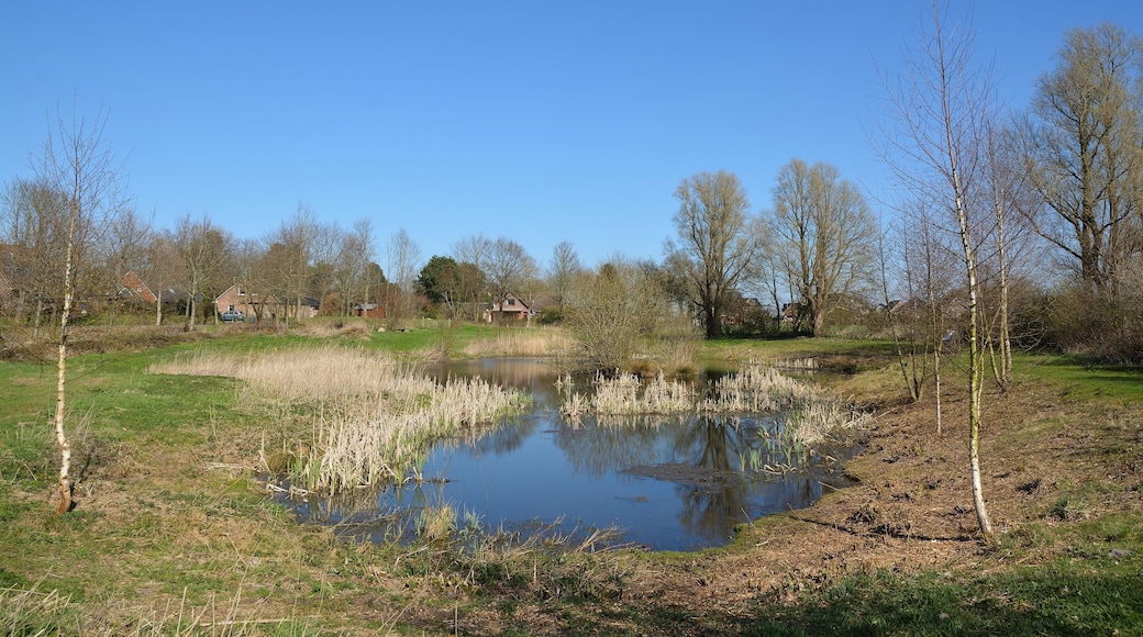 Bilder des Naturerlebnisraums "Naturerlebnisraum Gruppweg" in Rantrum.