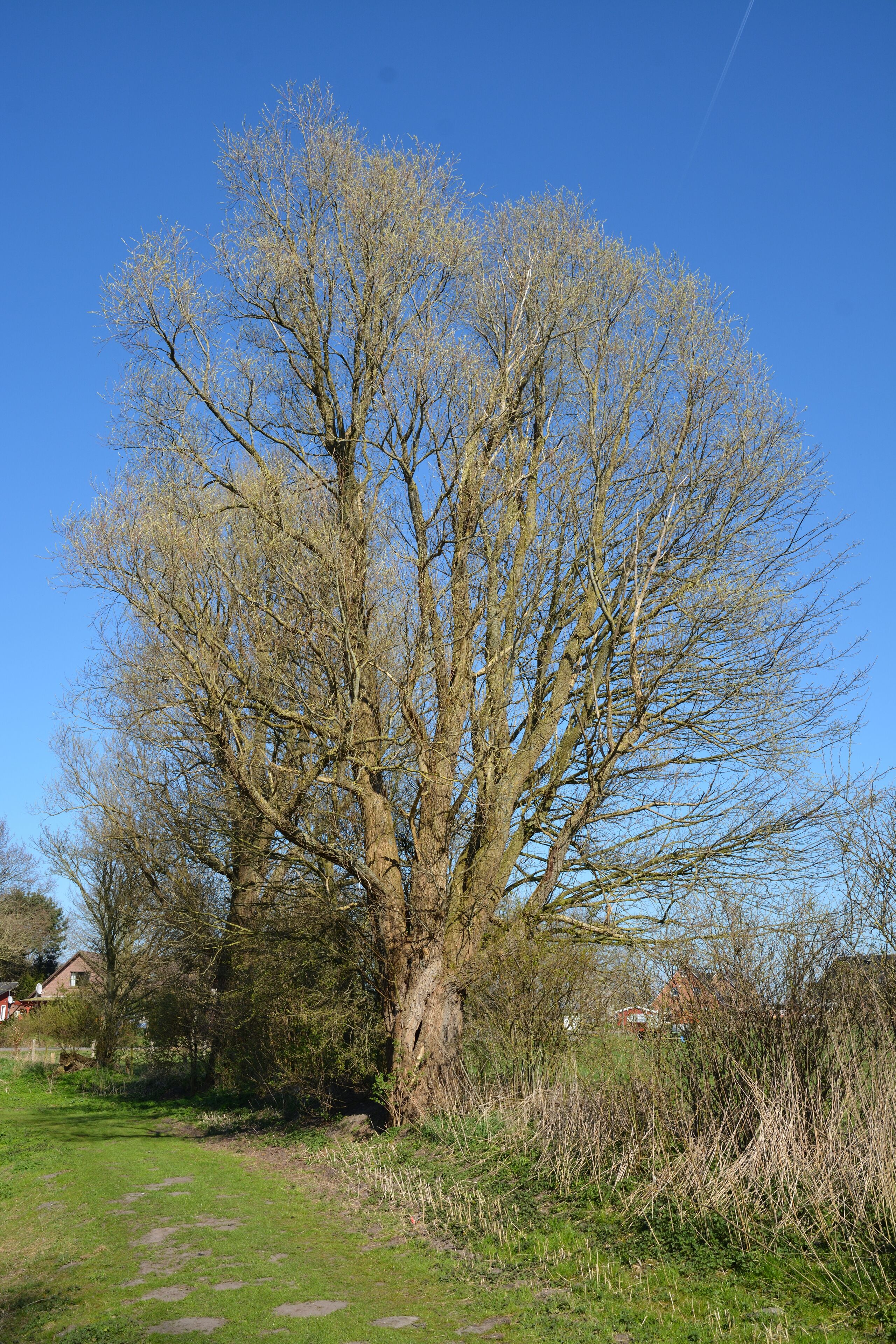 Bilder des Naturerlebnisraums "Naturerlebnisraum Gruppweg" in Rantrum.