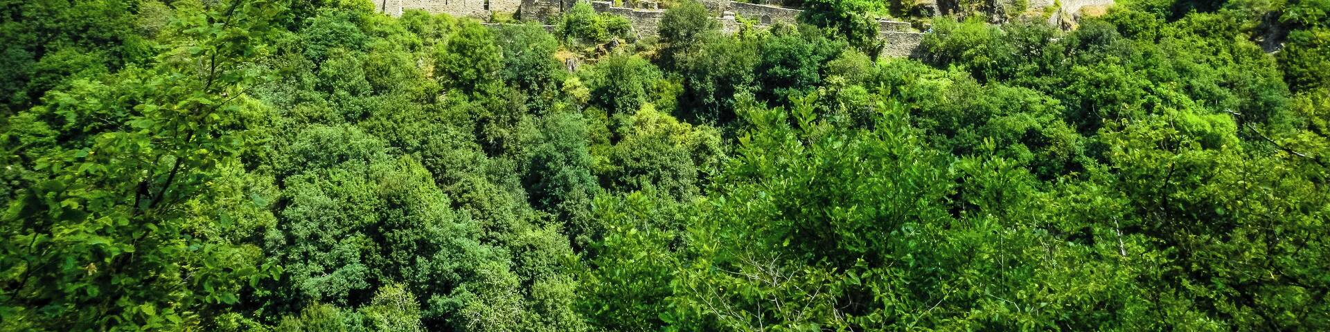 Schmidtburg im Hahnenbachtal auf der Gemarkung der Ortsgemeinde Schneppenbach