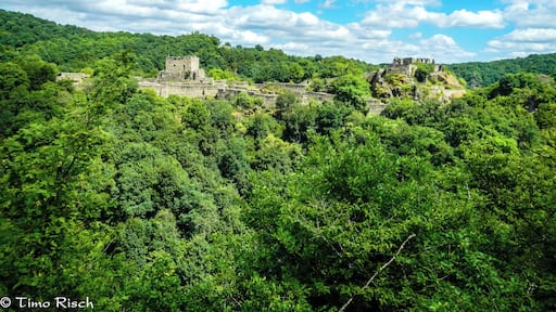 Schmidtburg im Hahnenbachtal auf der Gemarkung der Ortsgemeinde Schneppenbach