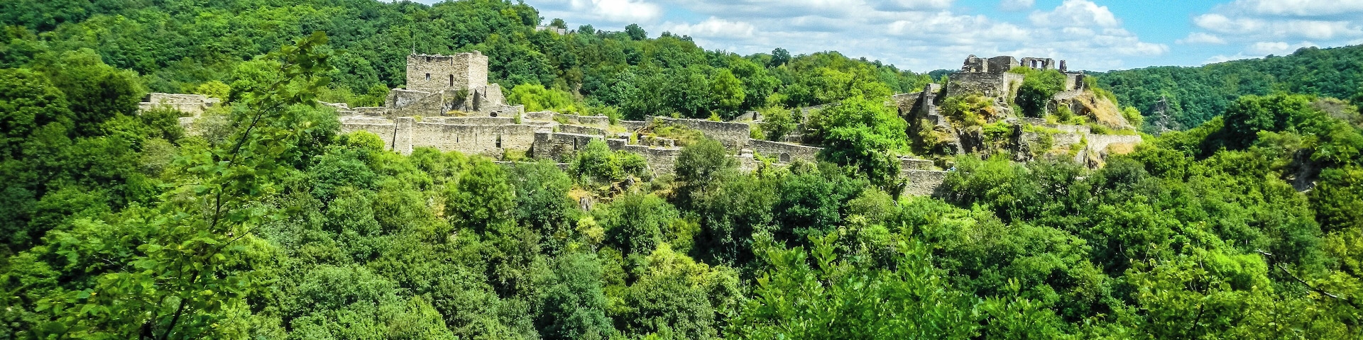 Schmidtburg im Hahnenbachtal auf der Gemarkung der Ortsgemeinde Schneppenbach