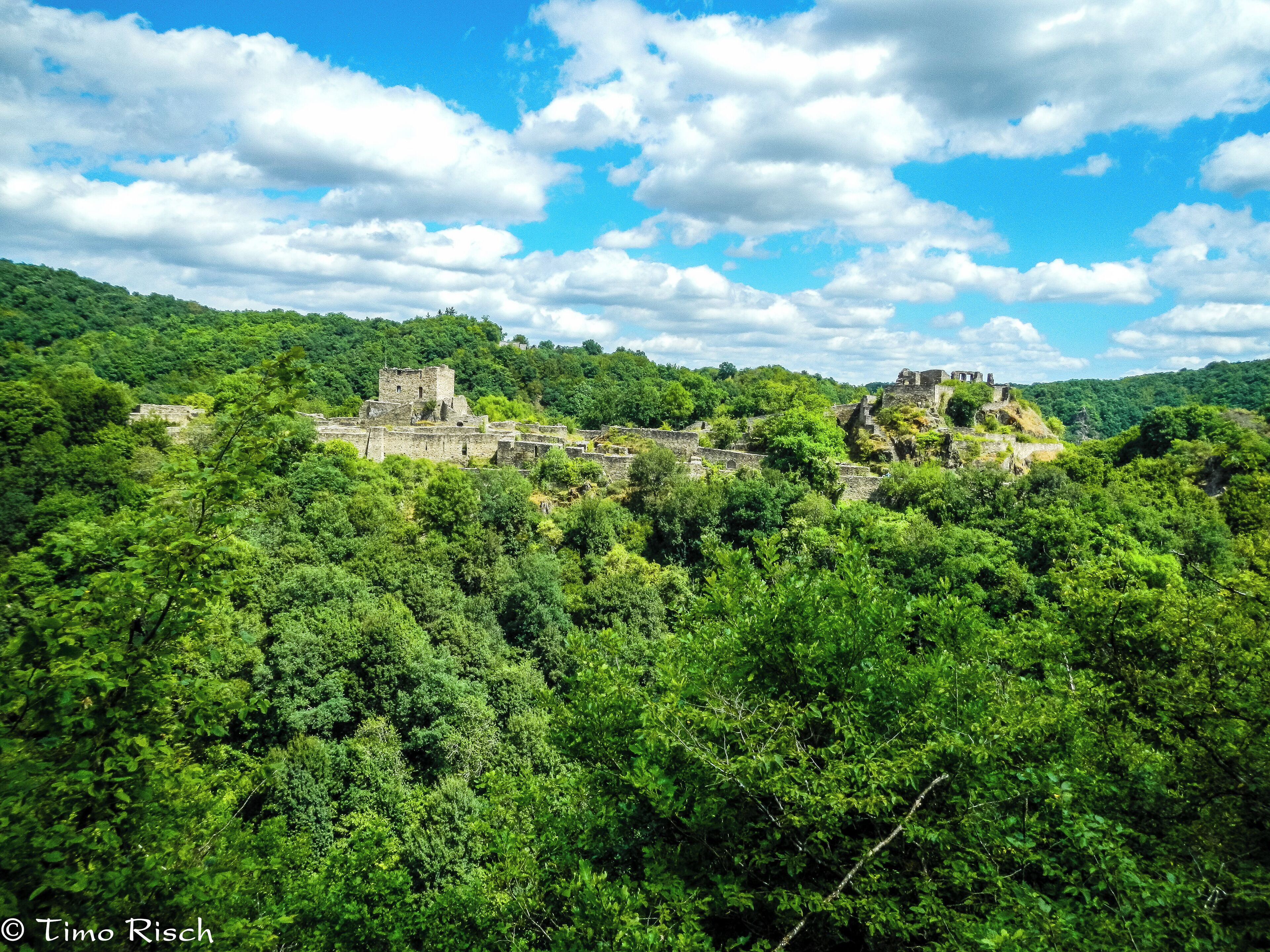 A lush green forest with ancient ruins on a hill.