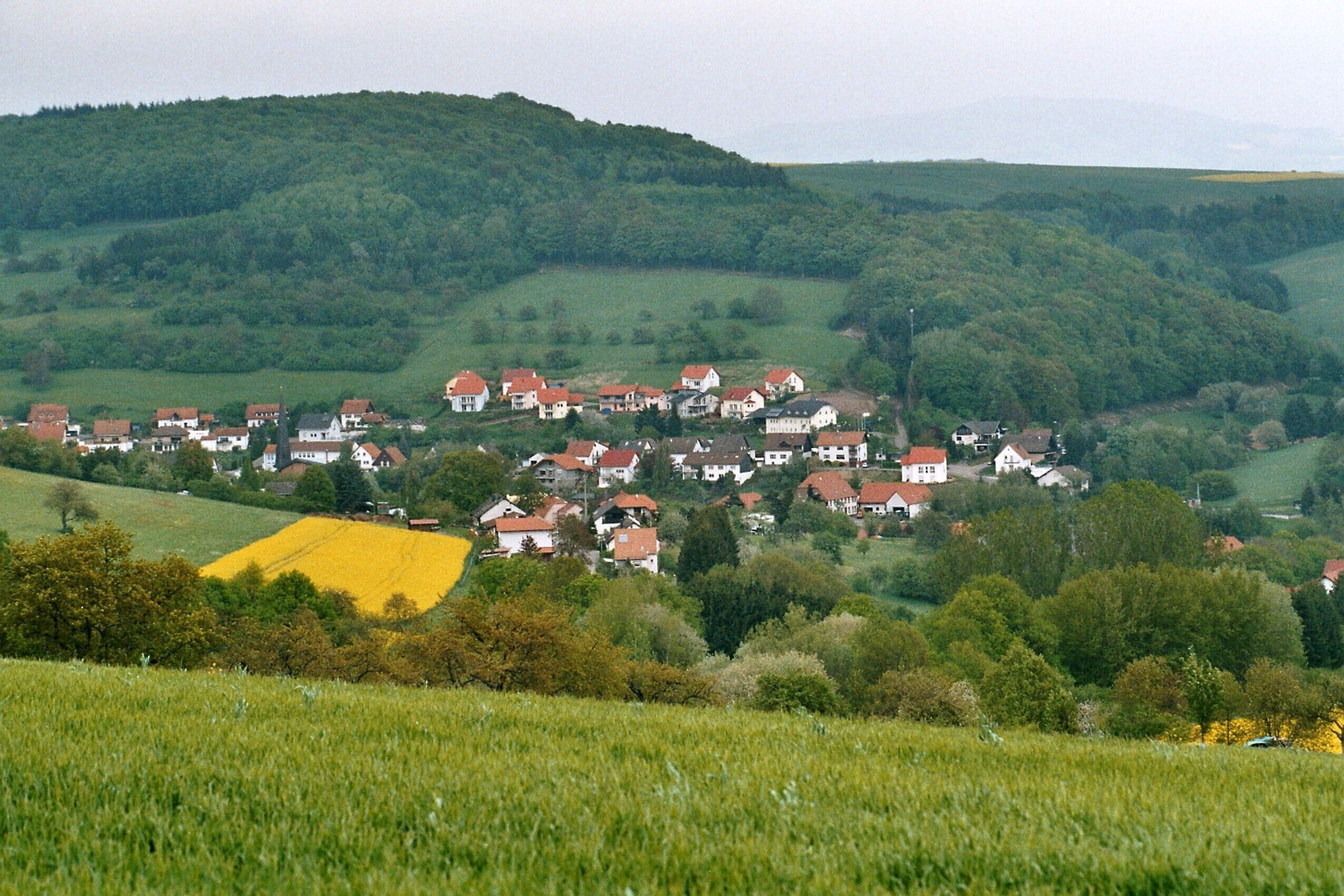 A village nestled in green hills with red-roofed houses and a yellow field.