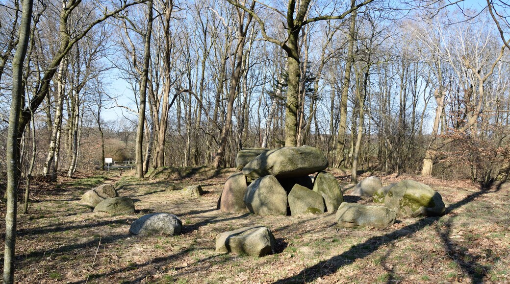 Das Hünengrab in Bargenstedt, Ortsteil Dellbrück