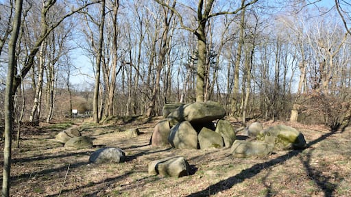 Das Hünengrab in Bargenstedt, Ortsteil Dellbrück
