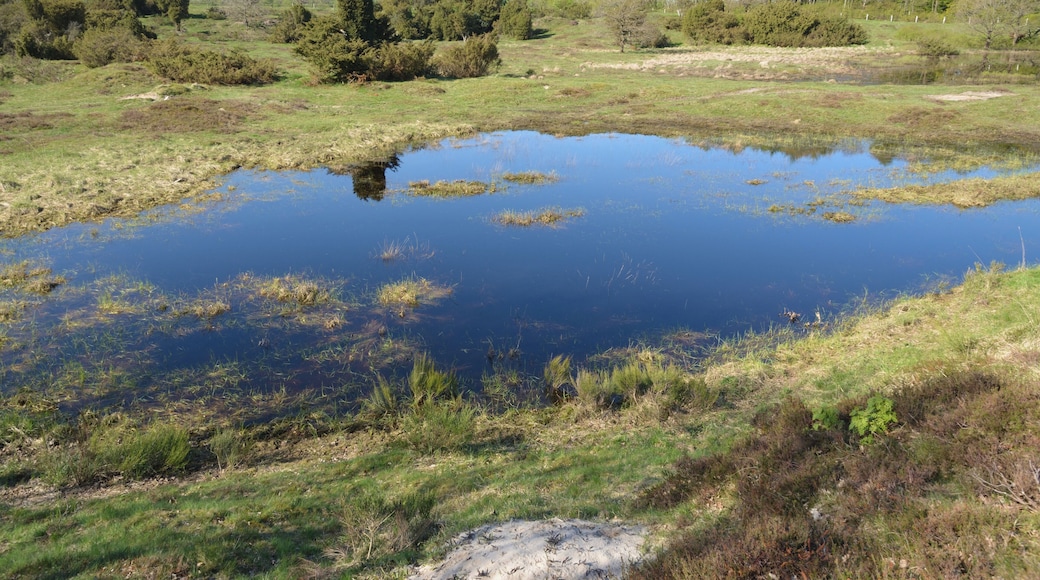 This is a picture of the protected area listed at WDPA under the ID