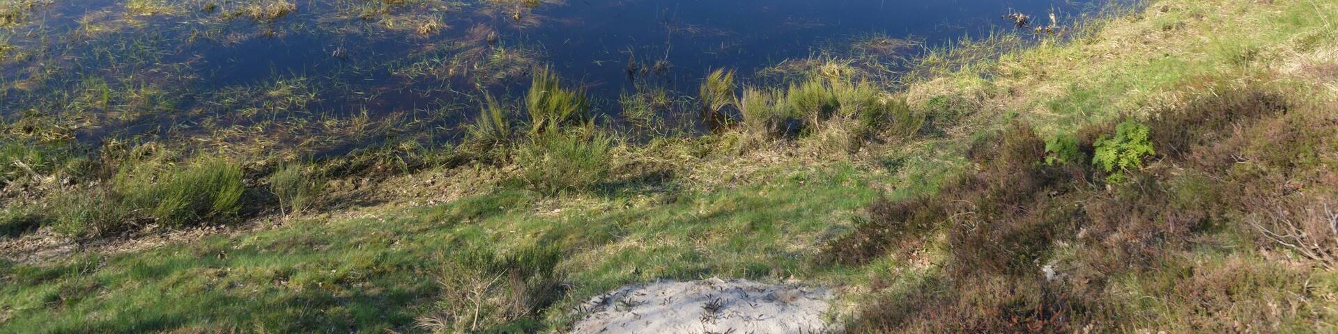 This is a picture of the protected area listed at WDPA under the ID