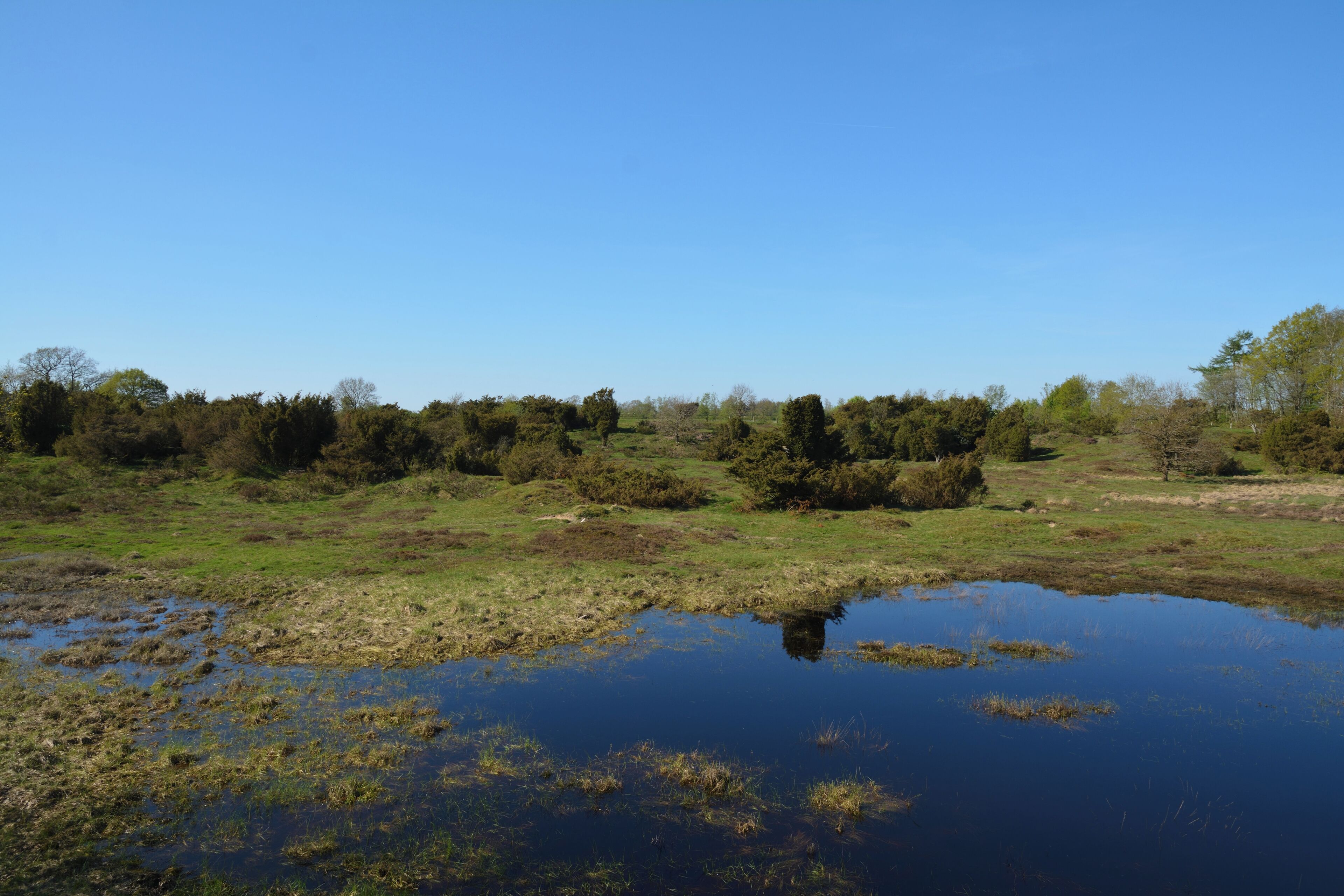 This is a picture of the protected area listed at WDPA under the ID