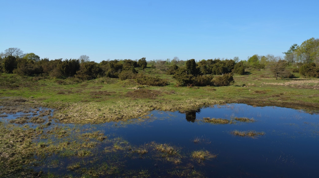 This is a picture of the protected area listed at WDPA under the ID