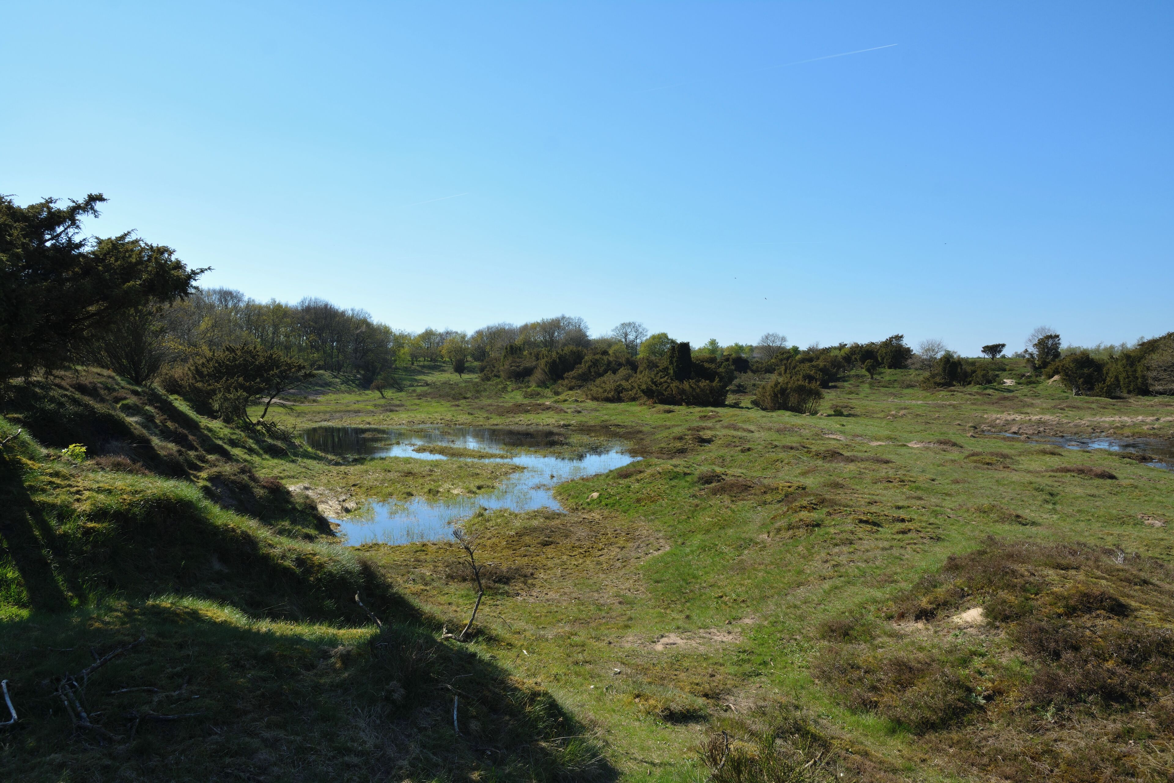 This is a picture of the protected area listed at WDPA under the ID