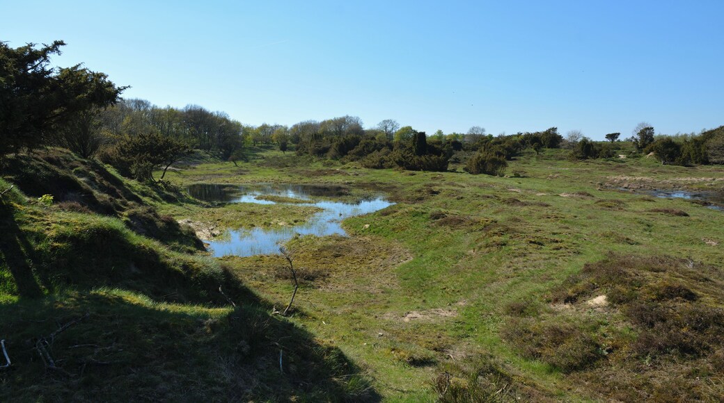 This is a picture of the protected area listed at WDPA under the ID