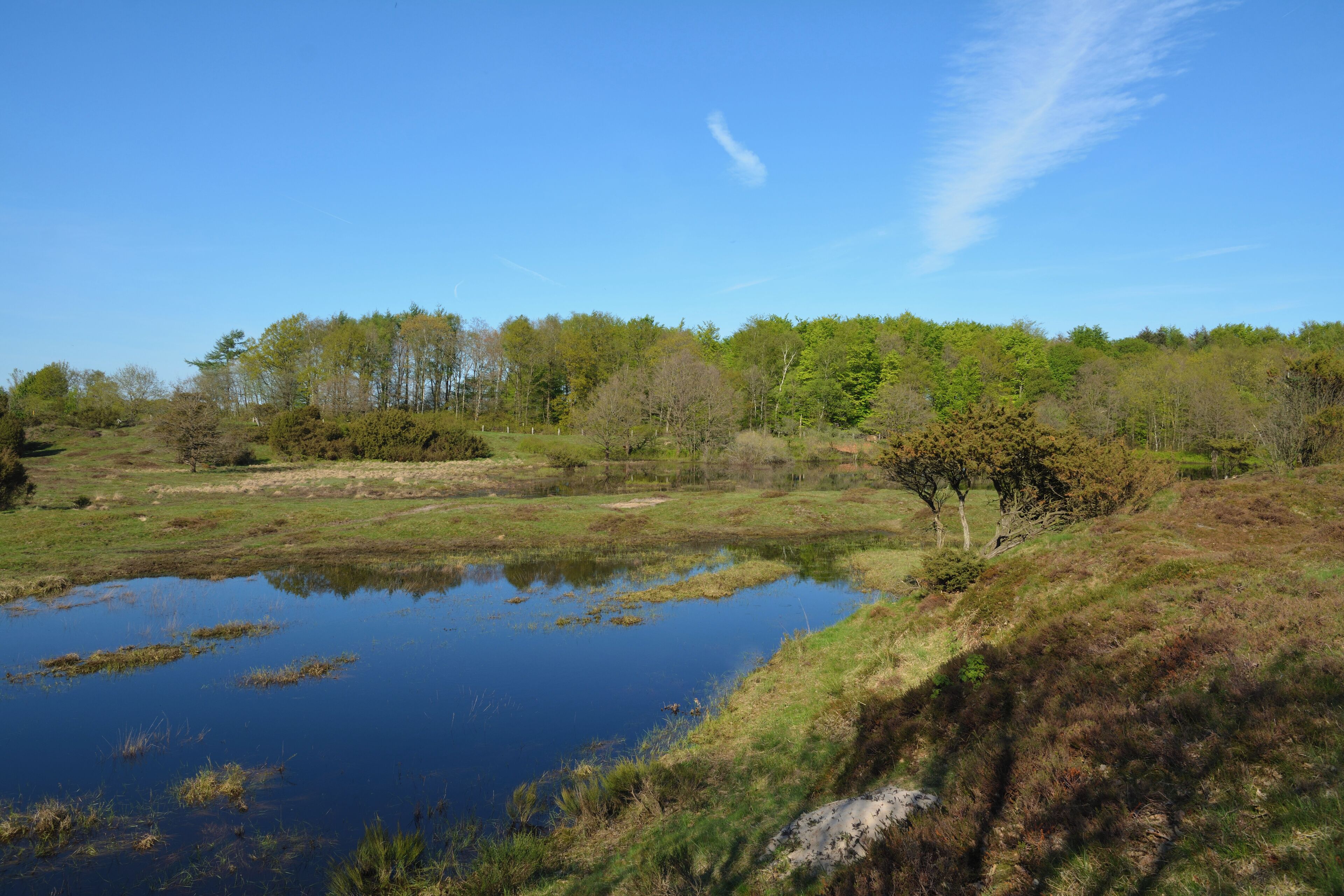 This is a picture of the protected area listed at WDPA under the ID