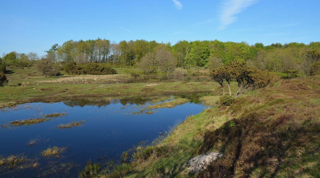 This is a picture of the protected area listed at WDPA under the ID