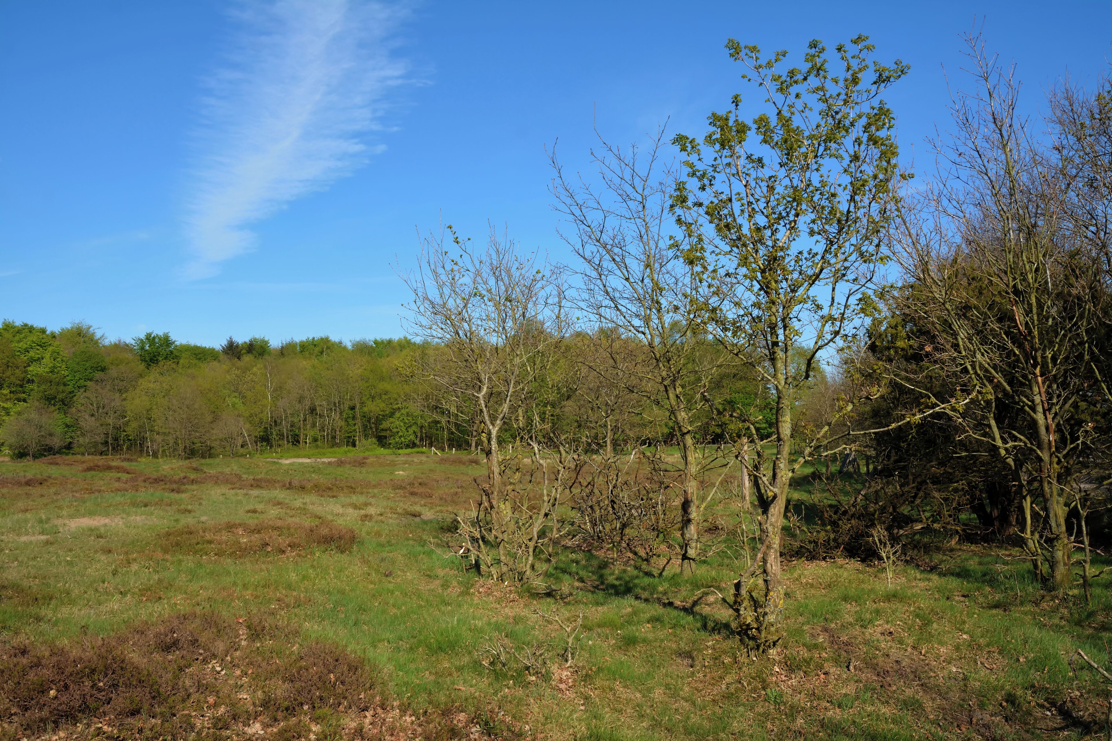 This is a picture of the protected area listed at WDPA under the ID