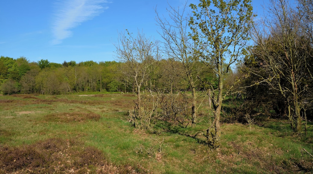 This is a picture of the protected area listed at WDPA under the ID