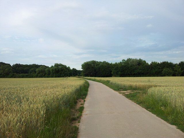 Weg bei Schwegenheim