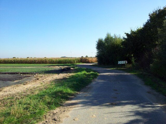 Weg entlang der B9 zwischen Schwegenheim und Speyer