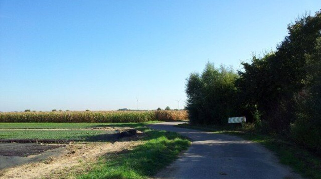 Weg entlang der B9 zwischen Schwegenheim und Speyer