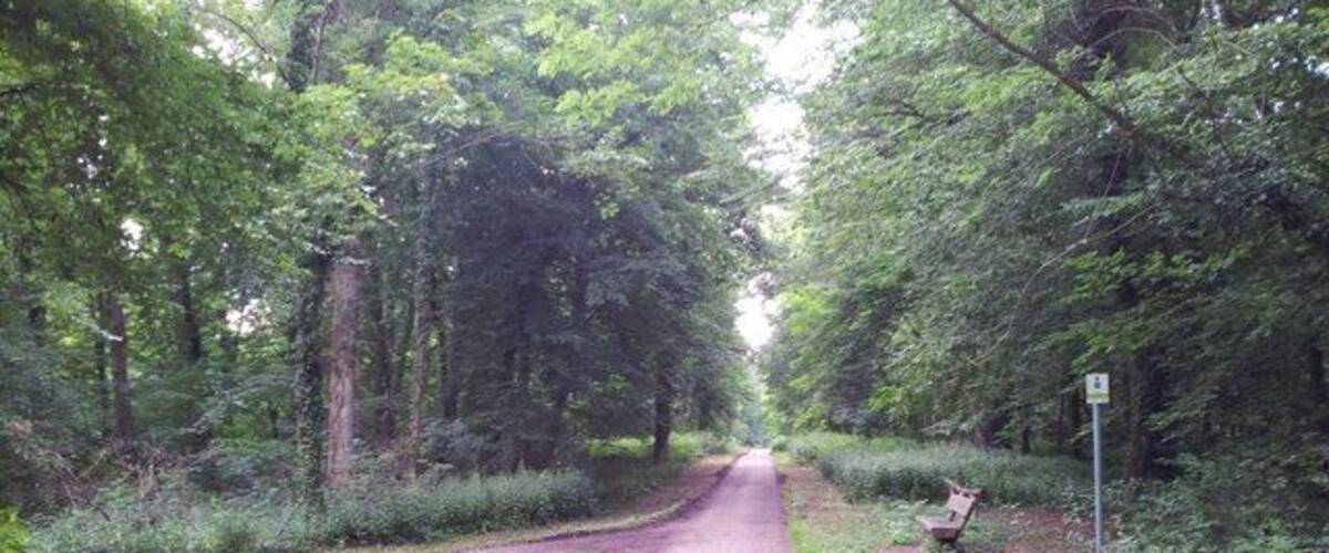 A paved path through a wooded area with a bench and a signpost.