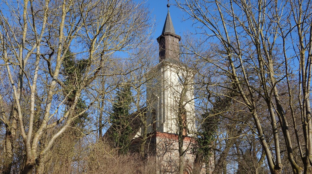 This is a picture of the Brandenburger Baudenkmal (cultural heritage monument) with the ID
