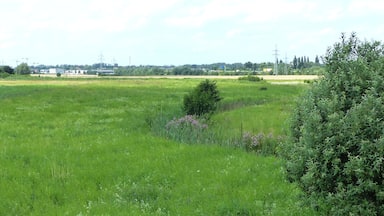Blick von der Landesstraße L625 nach Westen Richtung Rautheim entlang dem Reitlingsgraben mit Renaturierungsgelände, stromabwärts.
