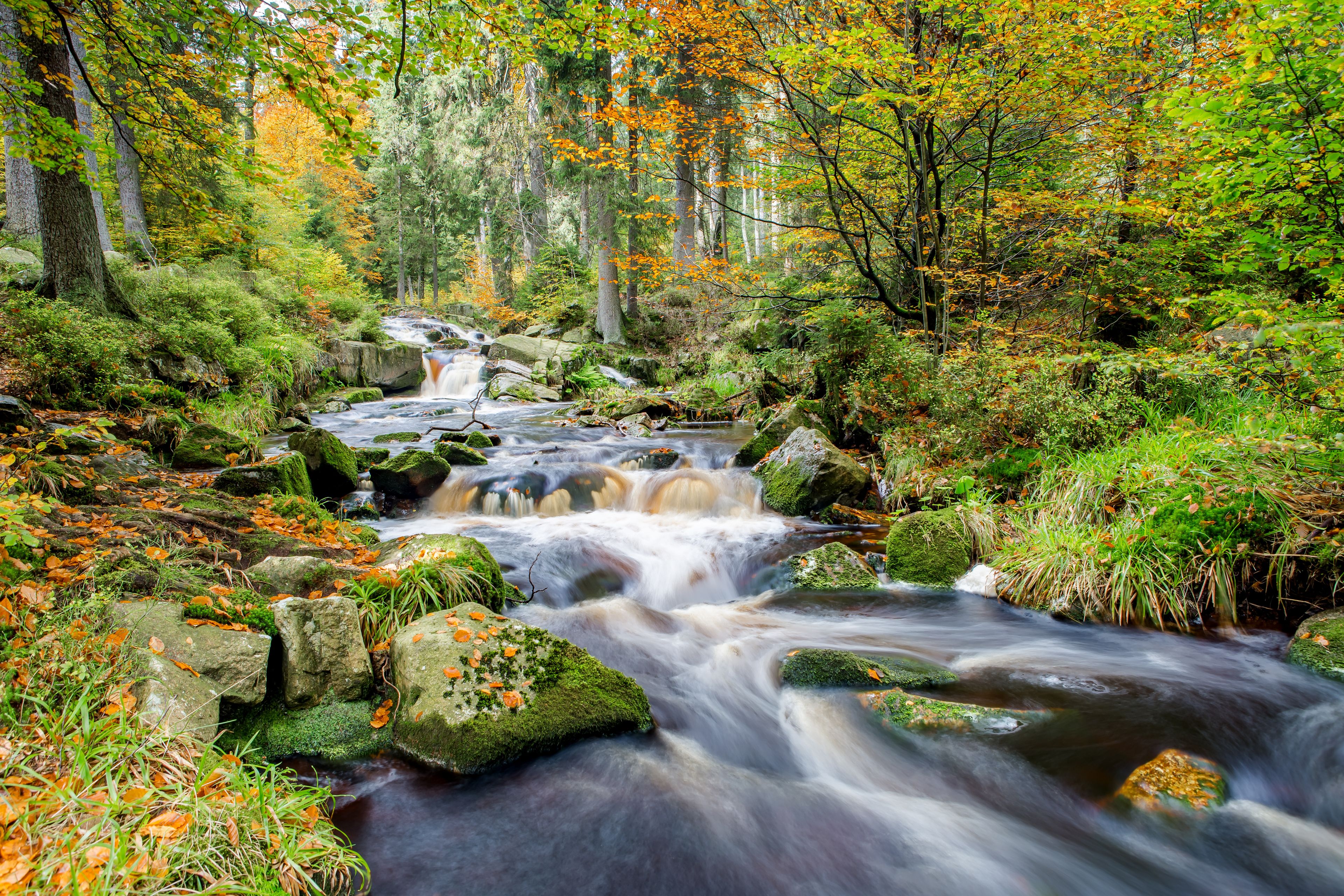 Hörden am Harz