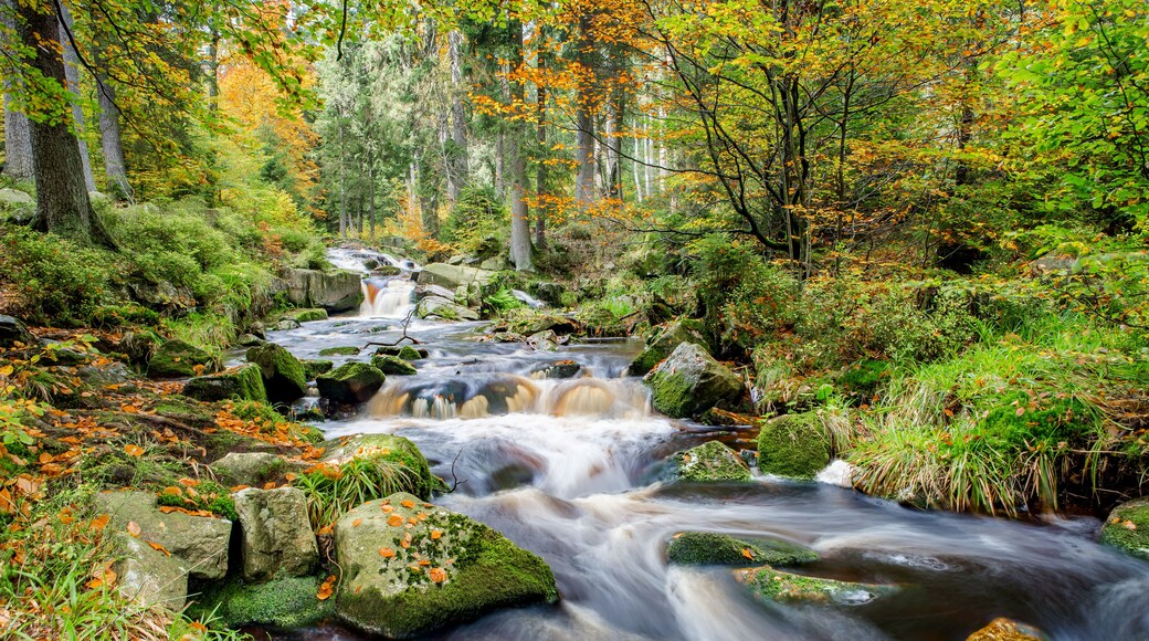 Hörden am Harz