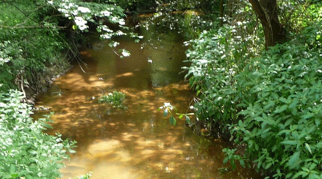 Bringt bei Stadt, Land, Fluss immer 20 Punkte: die Queich.