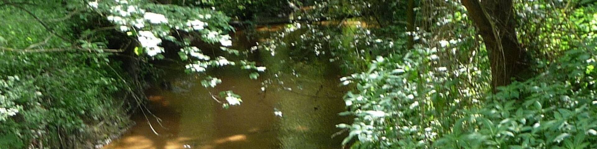 Bringt bei Stadt, Land, Fluss immer 20 Punkte: die Queich.