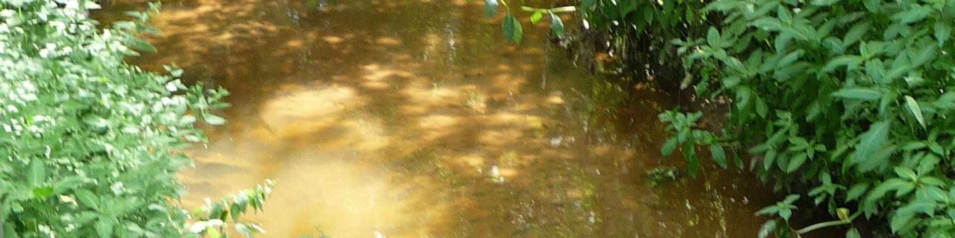 Bringt bei Stadt, Land, Fluss immer 20 Punkte: die Queich.