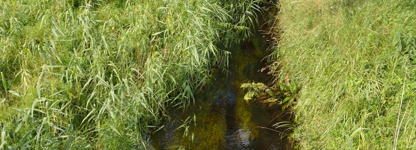Impressionen der Holstenau an der Landesstraße L327
